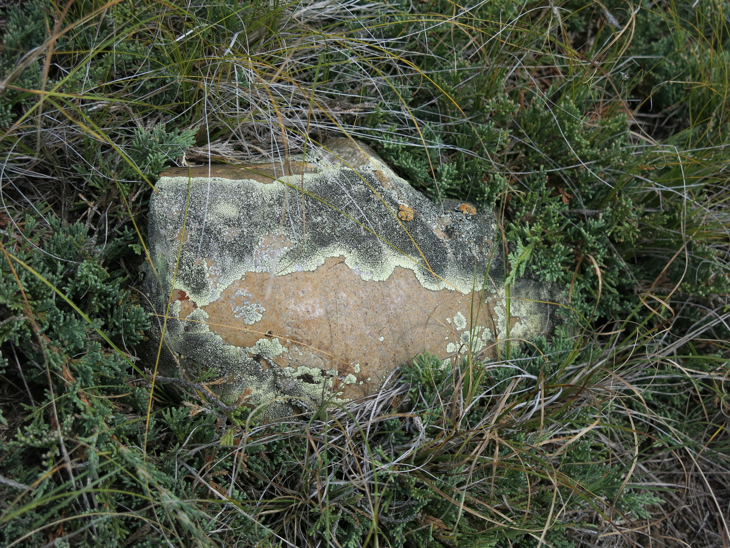 CHA-01-A-0007- (24).JPG