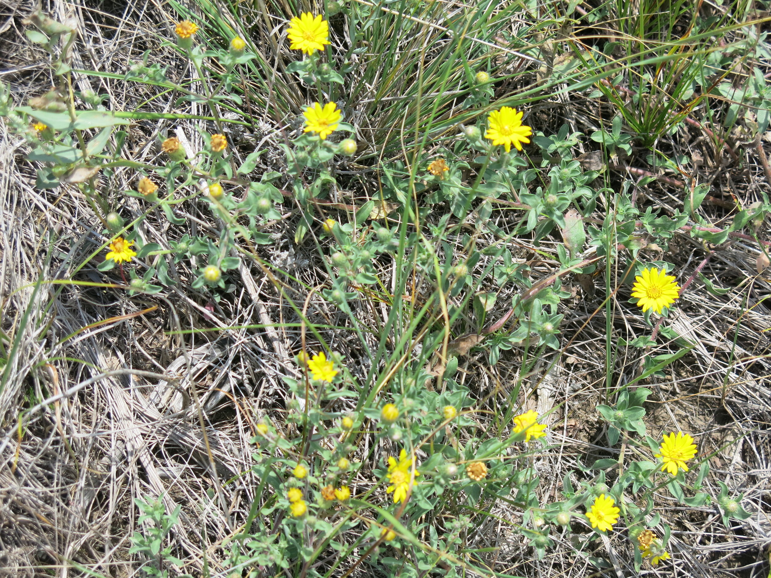 CHA-01-A-0007- (25).JPG