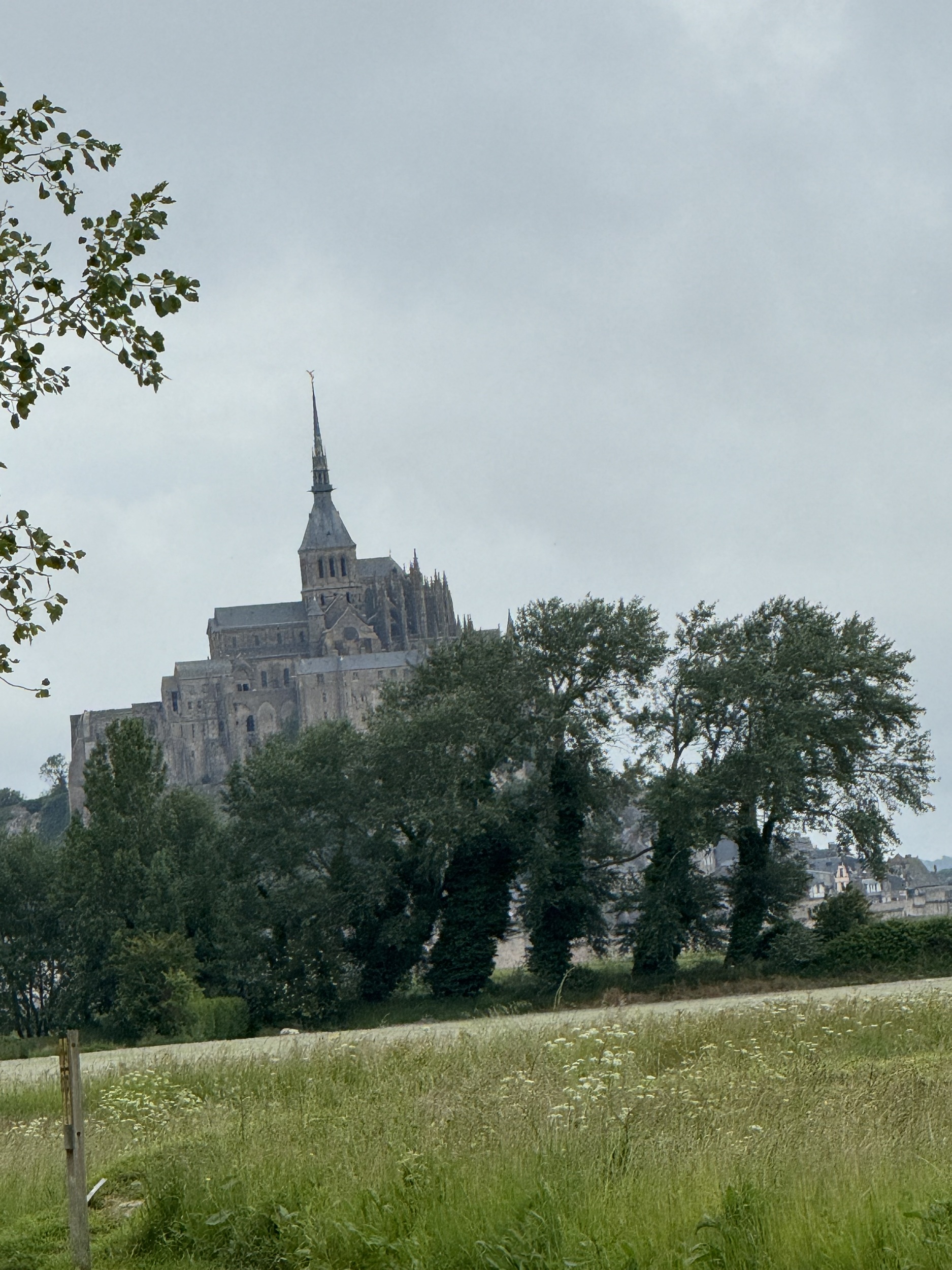 COL-CHA-B (1304).jpg