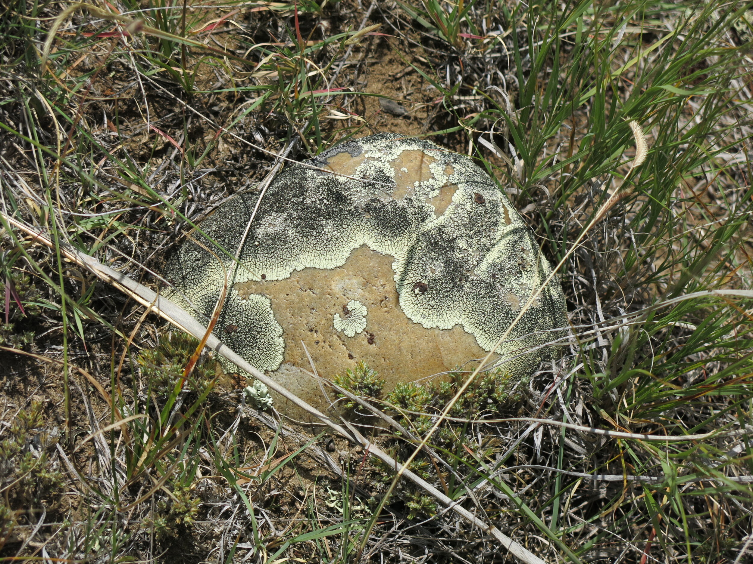 CHA-01-A-0007- (23).JPG