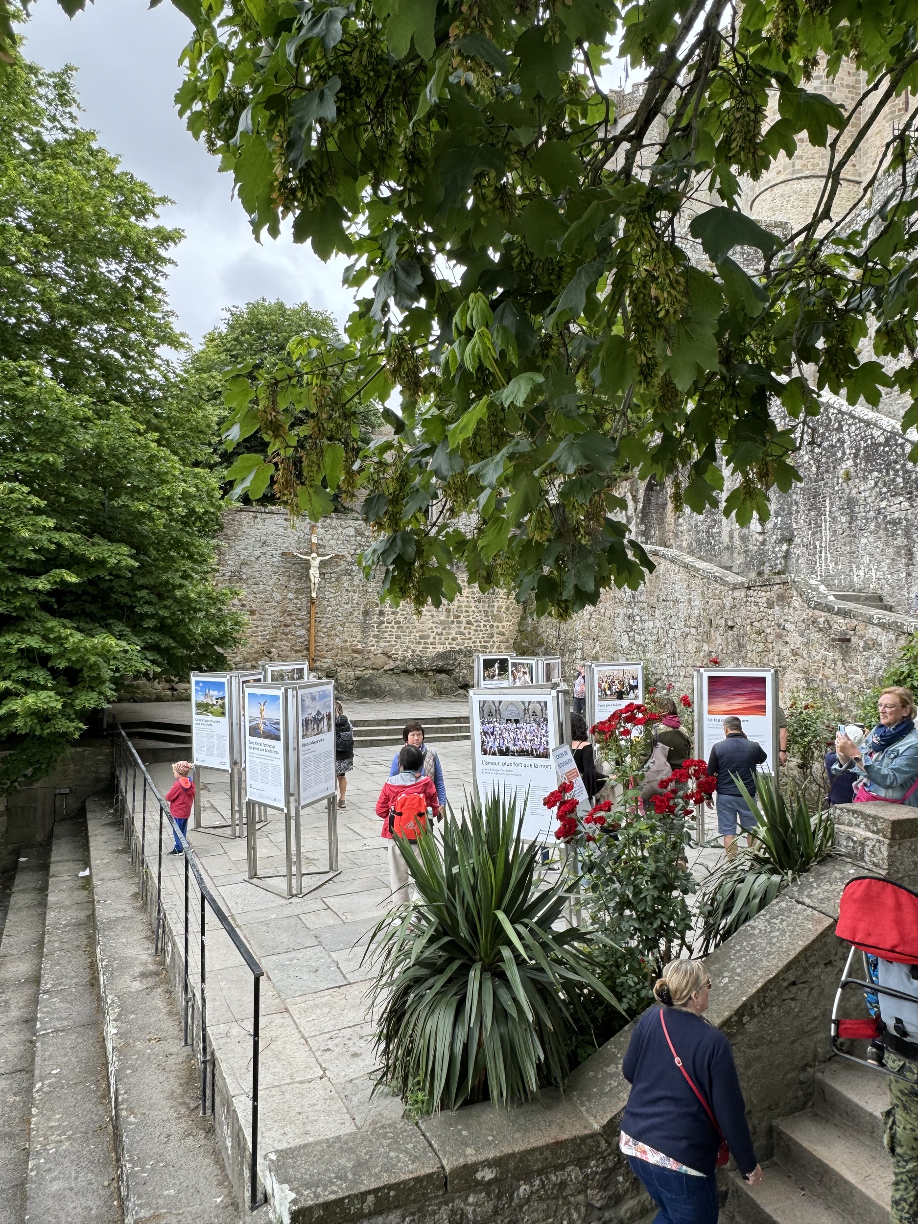 COL-CHA-B (1314).jpg