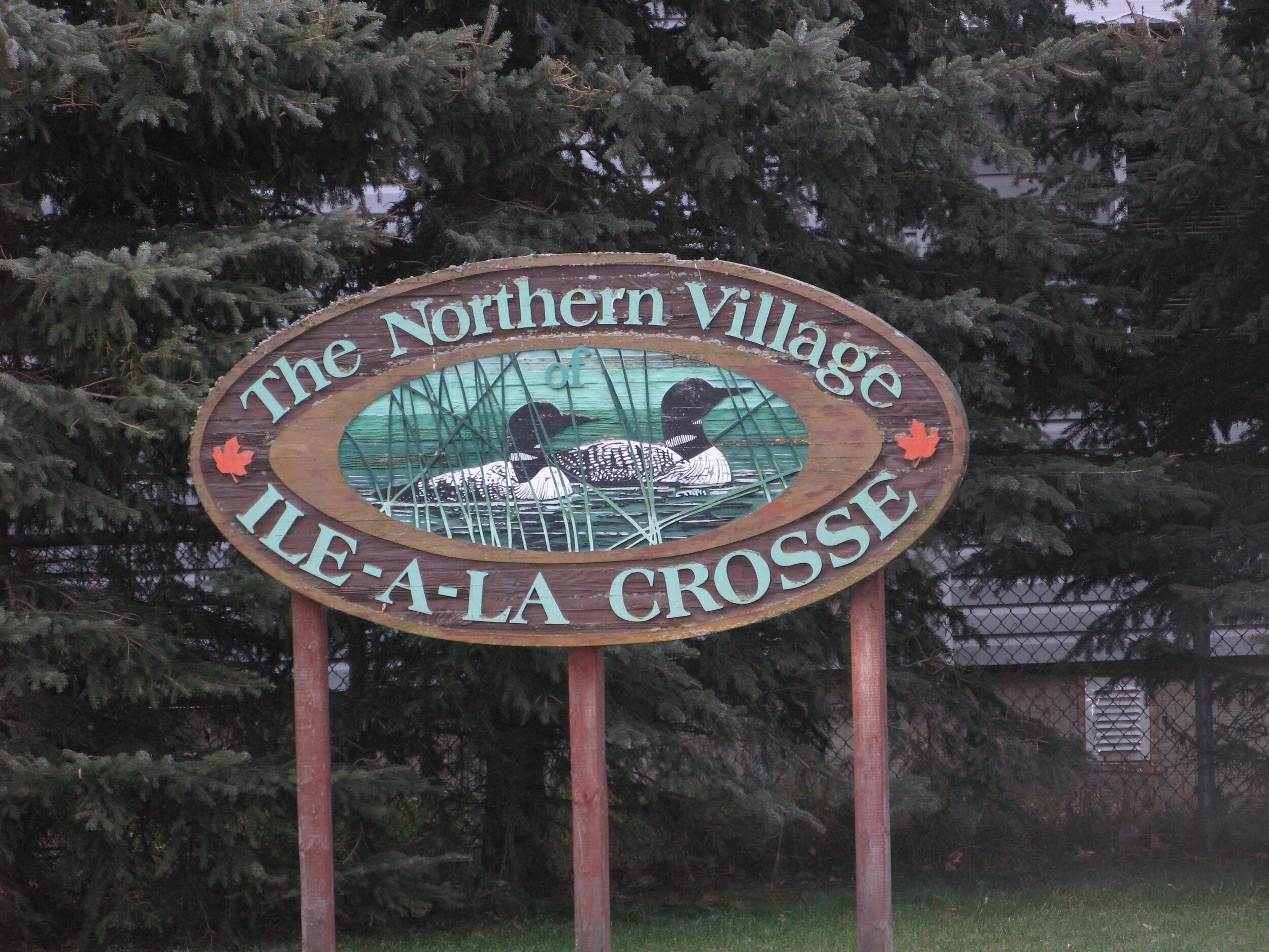 CHA-01-A-005- (12).jpg