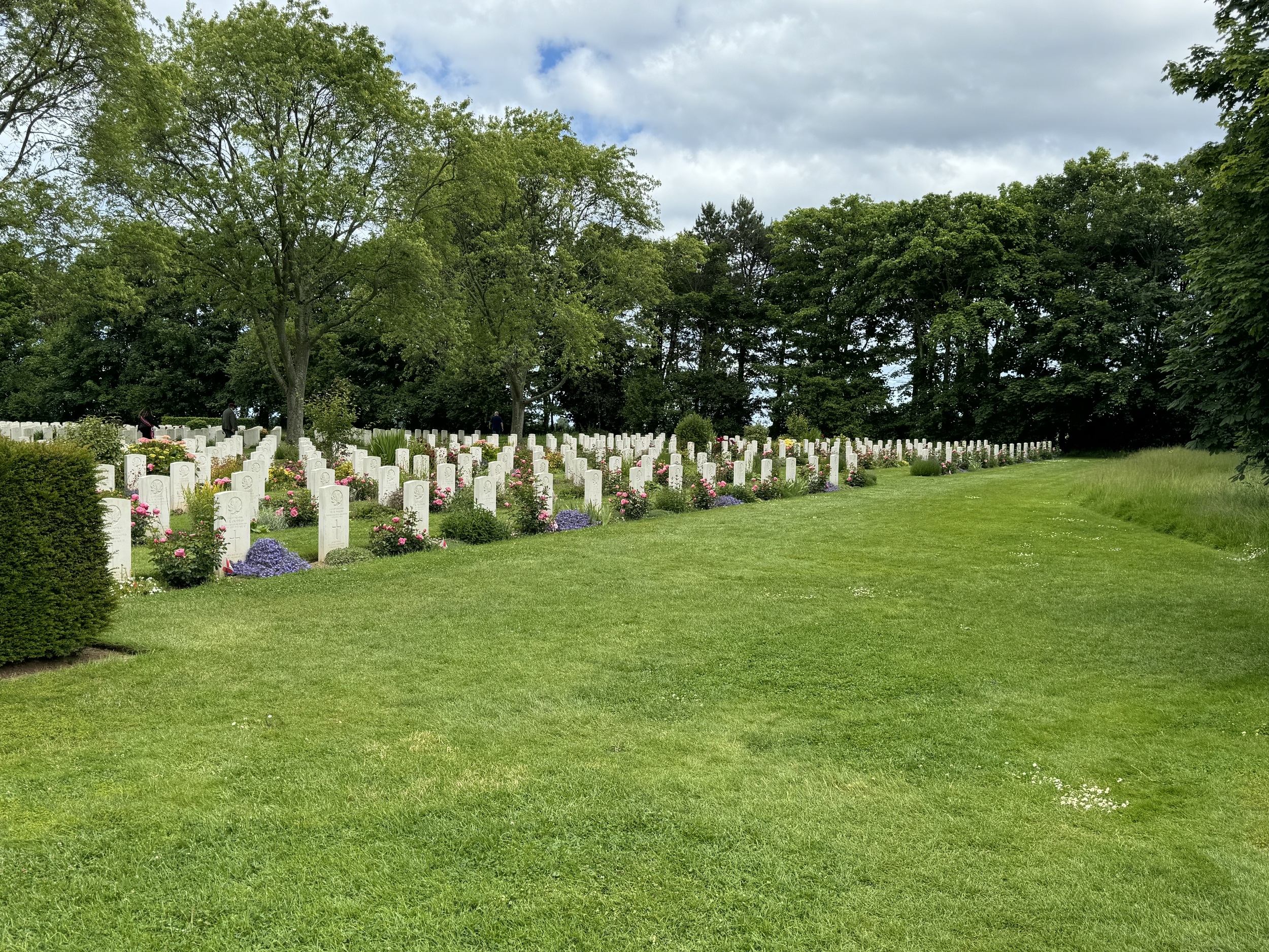 COL-CHA-B (1237).jpg