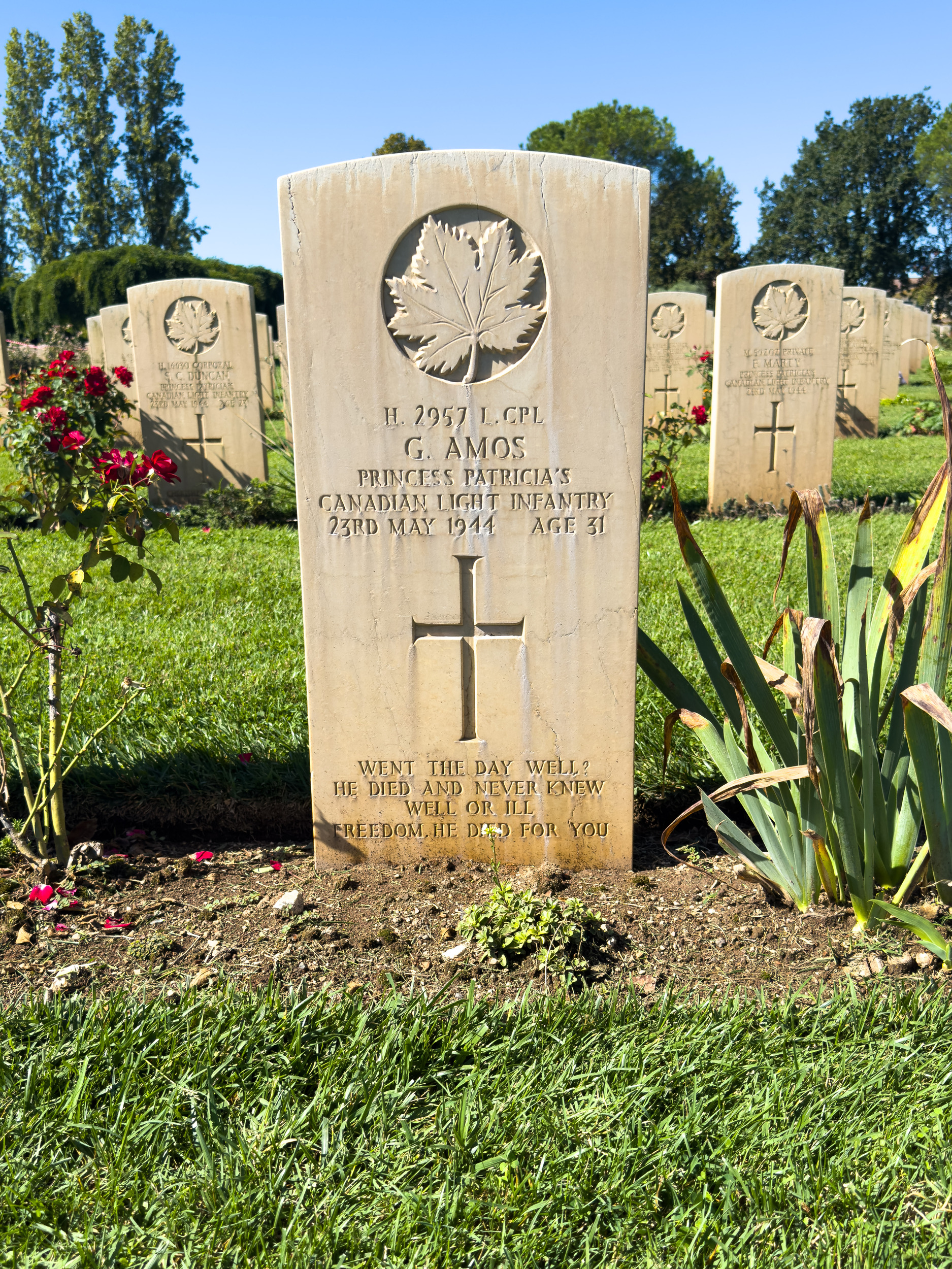 Amos-George-LCpl-SK-IT-Cassino 3 by 4.jpg