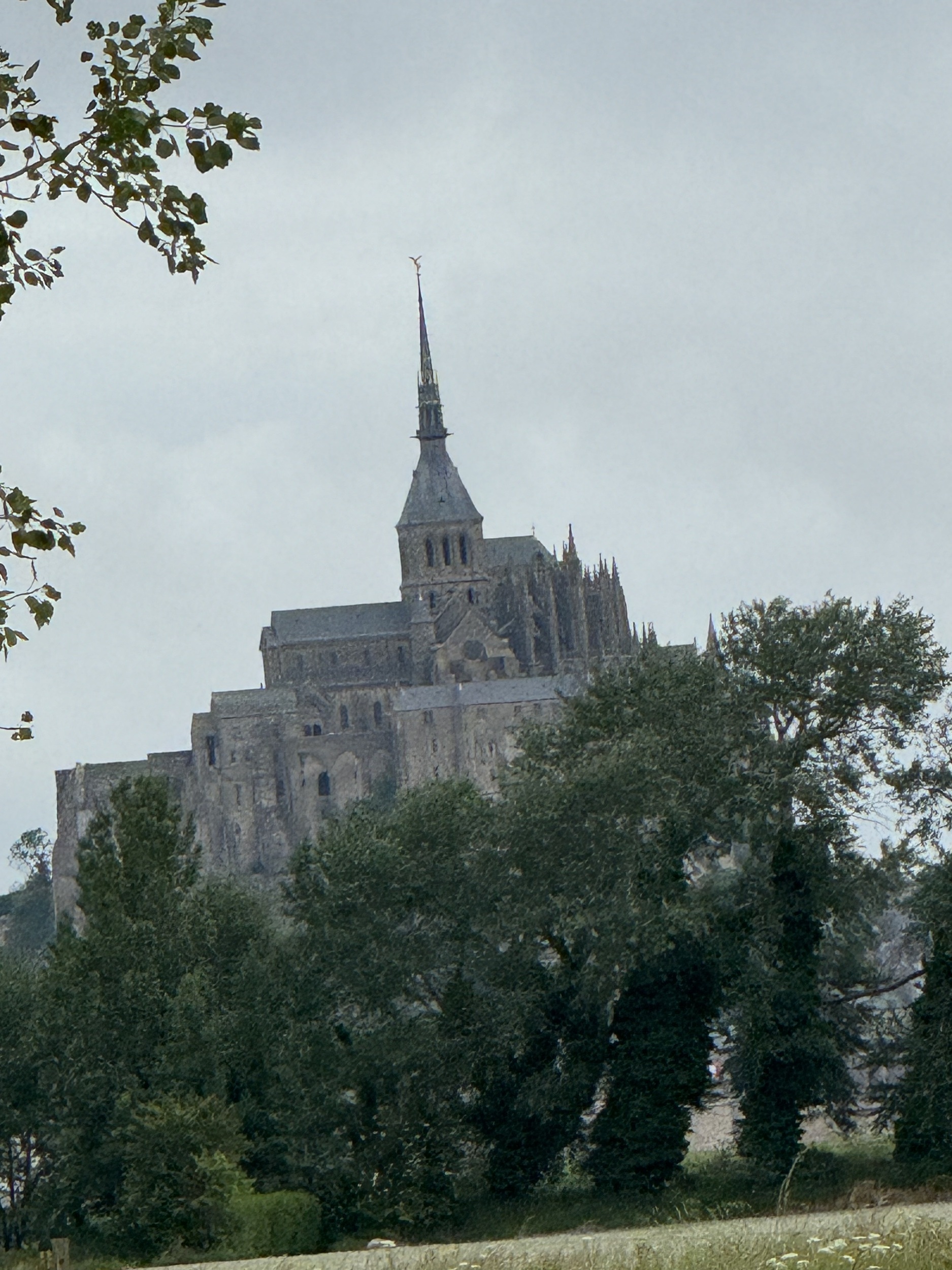 COL-CHA-B (1305).jpg