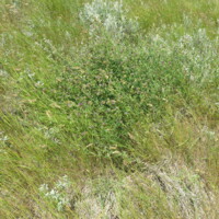 CHA-01-A-0007- (16).JPG