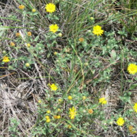 CHA-01-A-0007- (25).JPG