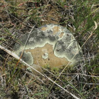 CHA-01-A-0007- (23).JPG