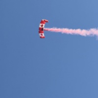 COL-CHA-B (1373).jpg