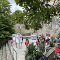 COL-CHA-B (1314).jpg