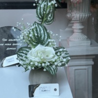 COL-CHA-B (1177).jpg