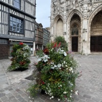 COL-CHA-B (1141).jpg