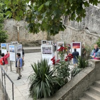 COL-CHA-B (1315).jpg