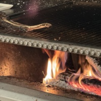 COL-CHA-B (1278).jpg